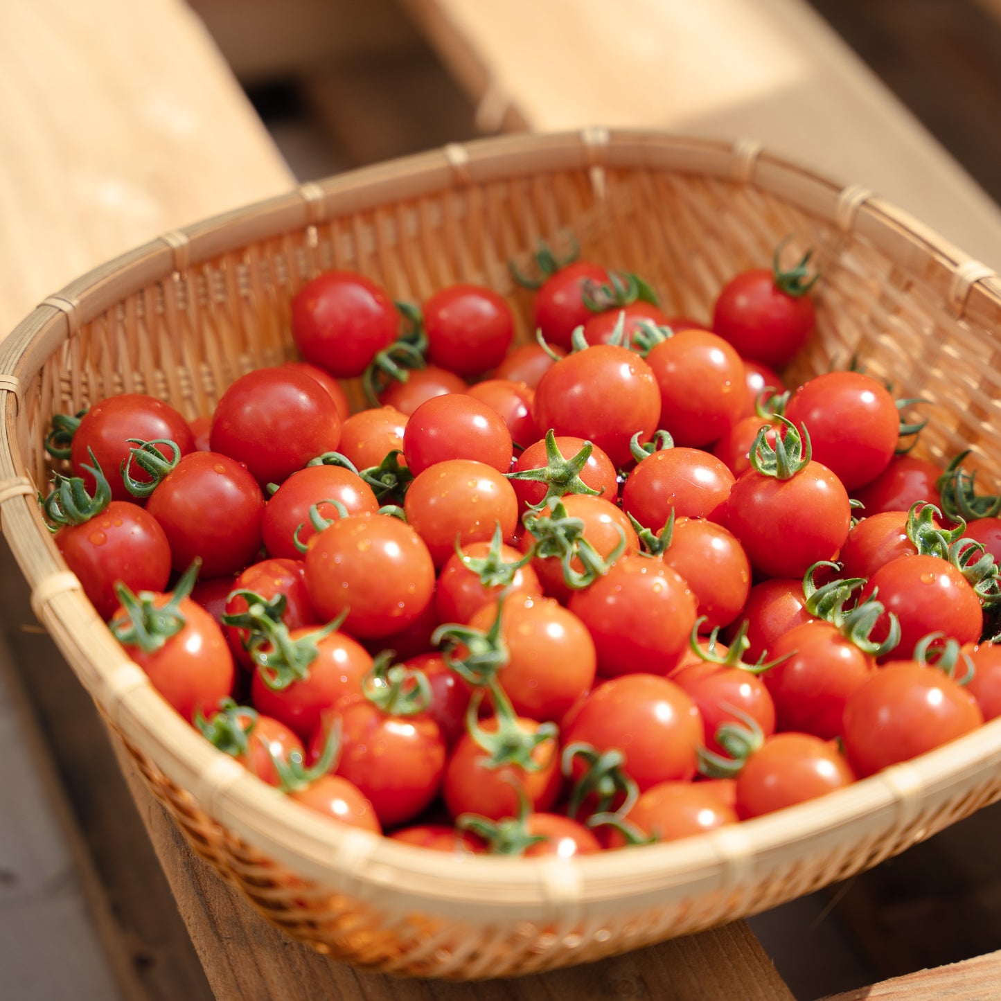 ミニトマト詰め合わせセット(1kg)