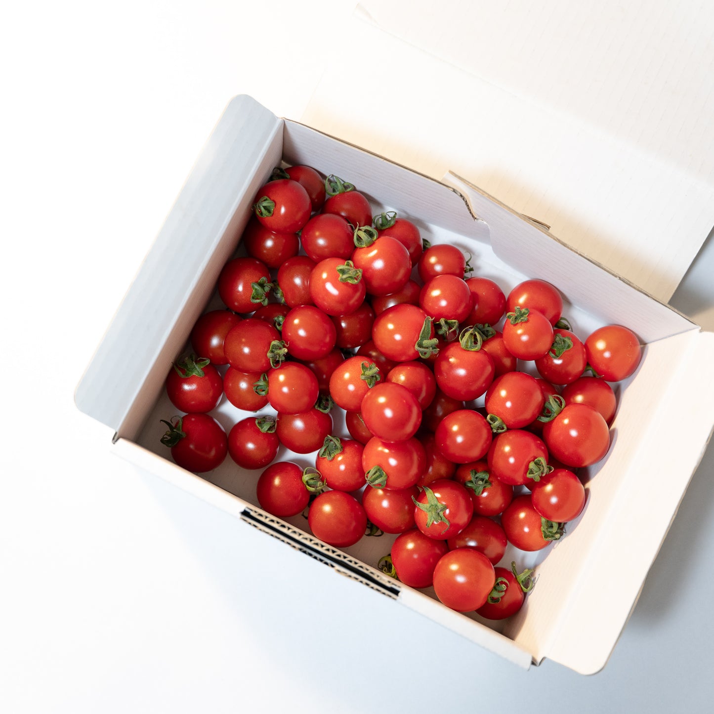 ミニトマト詰め合わせセット(1kg)