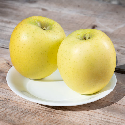 【青森県弘前市産りんご/家庭用】 シナノゴールド(3kg)