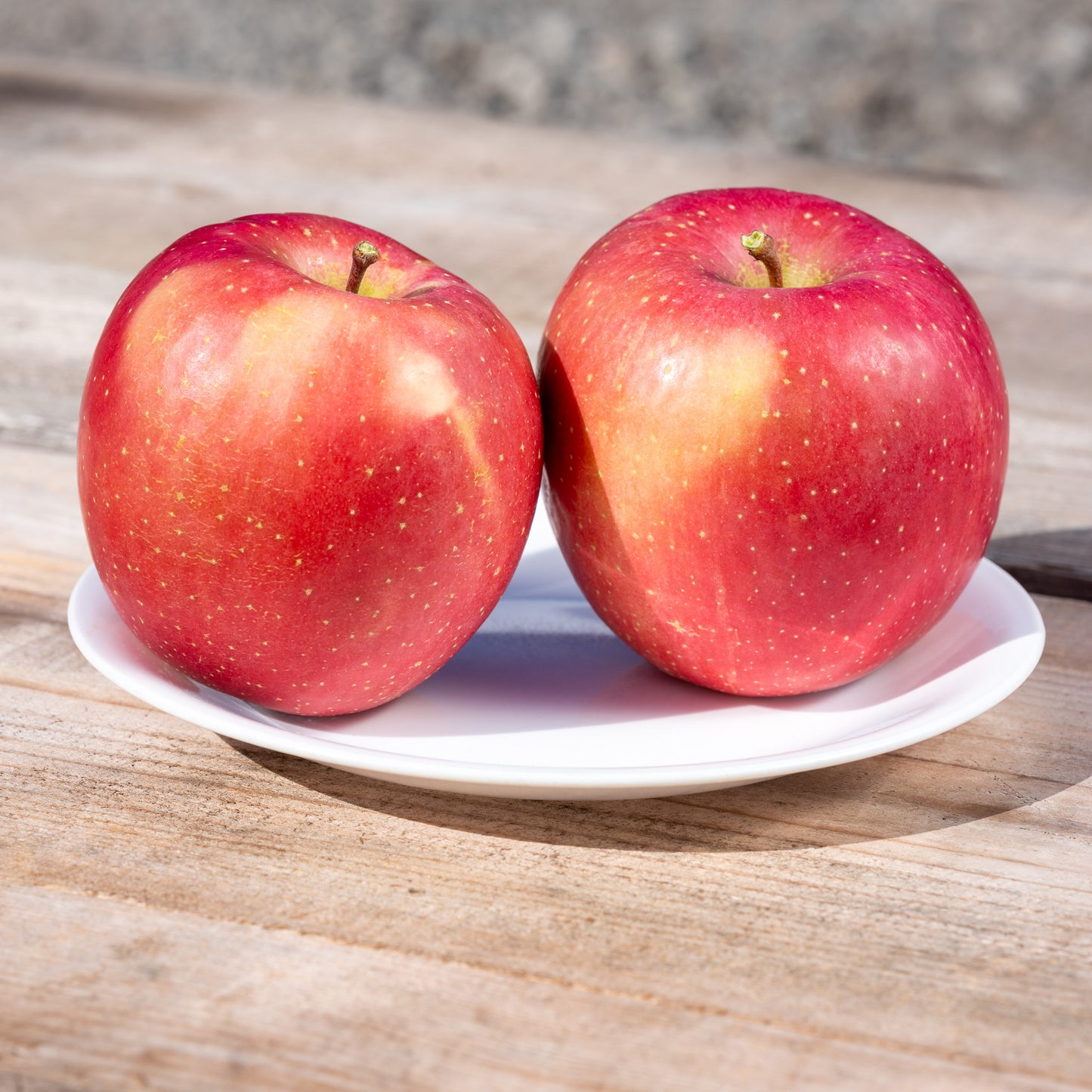 【青森県弘前市産りんご/家庭用】 葉とらずサンふじ(6kg)