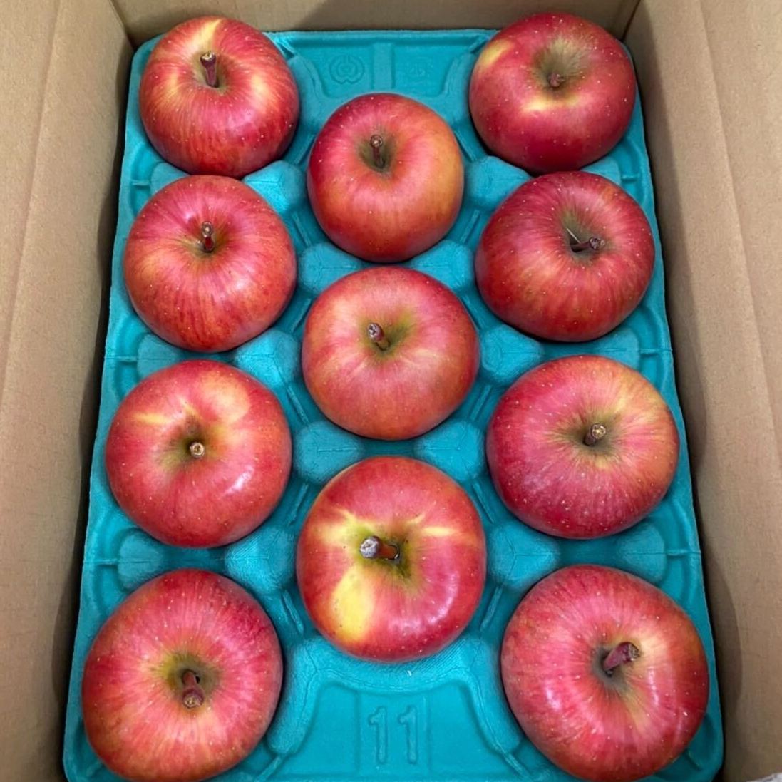 【青森県弘前市産りんご/ギフト用】 葉とらずサンふじ(3kg)